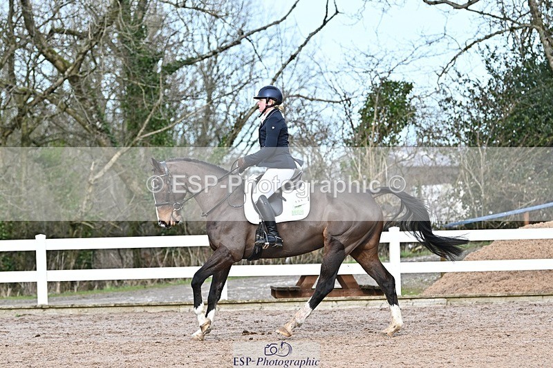 250125-131828-00603 - Dressage - CT Class 6 BE102