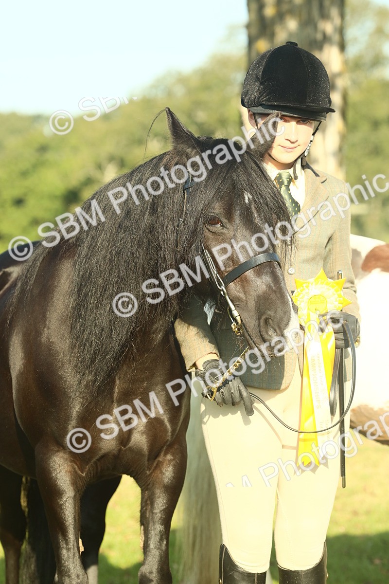 SBM_58482 - S37 - Starters In Hand Showing