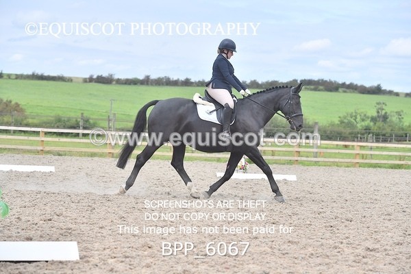 BPP_6067 - NOVICE TEST 4 + 6 LONG ARENA