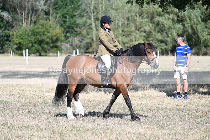 WJ7_3426 - Class 9 Mountain & Moorland Ridden