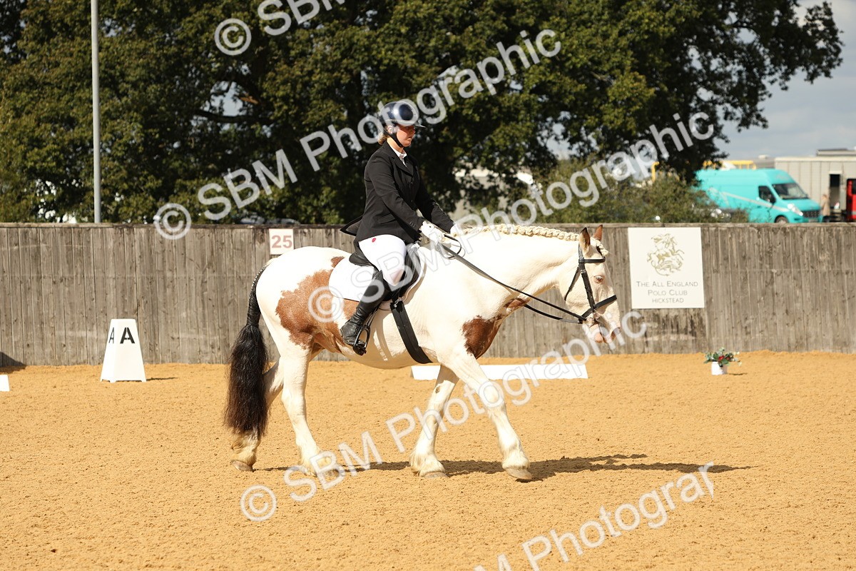 SBM_41802 - D21 - Junior Championship - Intro A