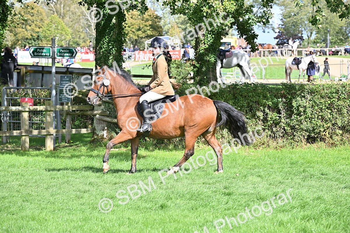 SBM_44584 - S13 - Pony Club Pony