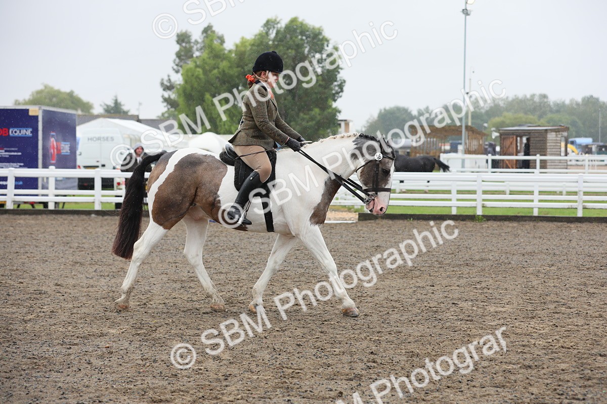 SBM_20608 - Class 804 - Ridden Veteran Pony