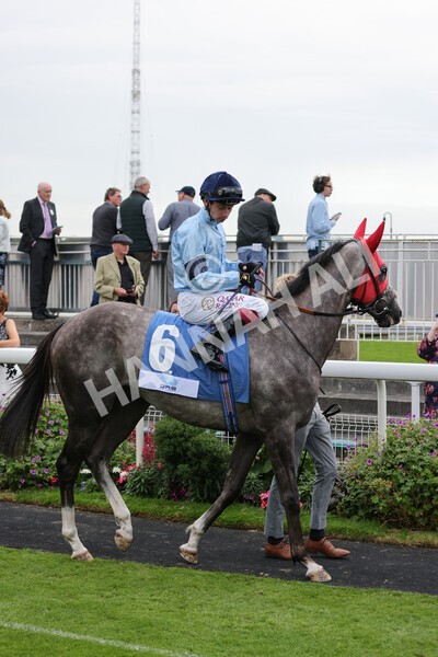 yr19082021r5-8 - Race 5 4.10pm OR8wellness ebfstallions Nursery Handicap