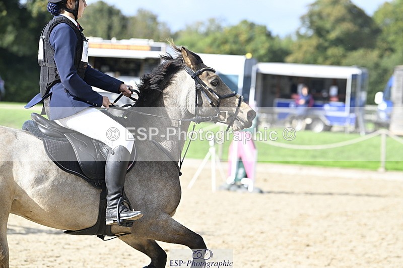 251005A-153532-04778 - Cls 10 Int 90-95cm