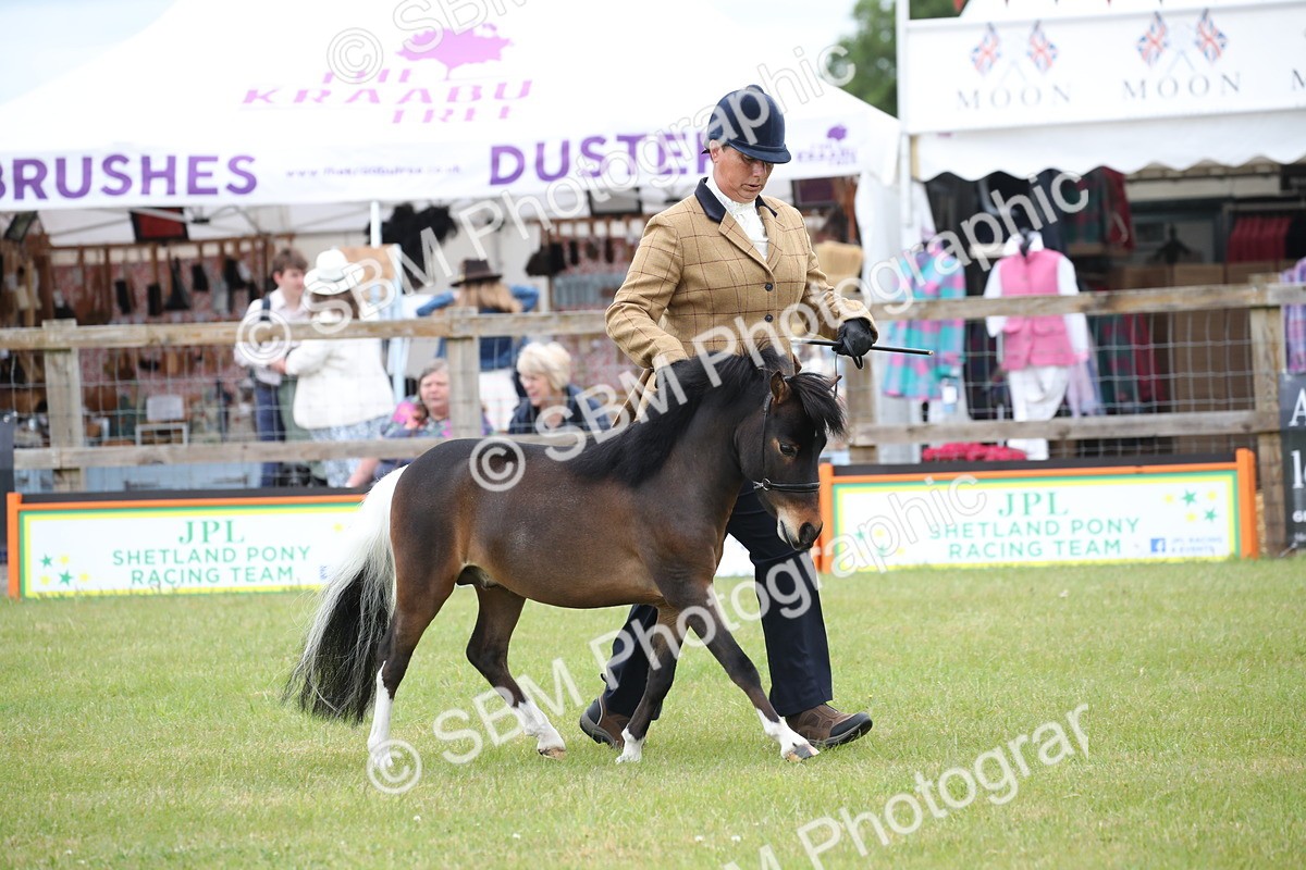 SBM_03727 - Class 23-25 - British Miniature Horse of the Year