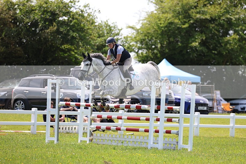 3E7A1341 - Class 12: Senior Foxhunter/1.20 open