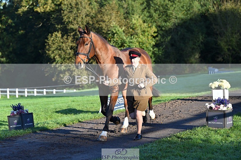 231022-090612-21563 - 634-PEMBROKE.MASTER.PIECE-Joanna.Dunn-TrotUp+SJ