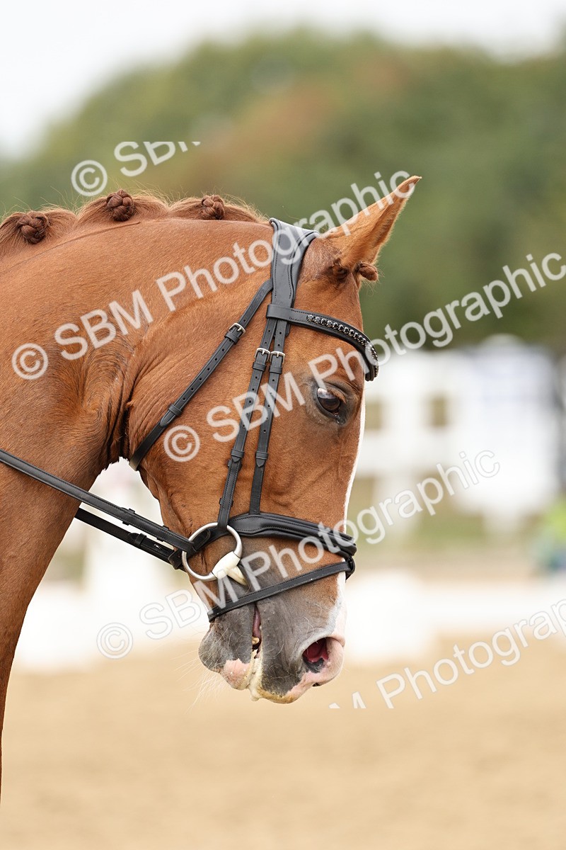 SBM_013114 - Class 3 - Novice 4 - 11.43-12.25