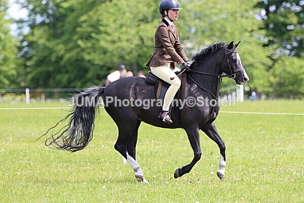 IMG_3394 - Working Hunter