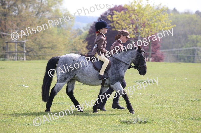 20260426-0608 - Class 31 - Leading Rein