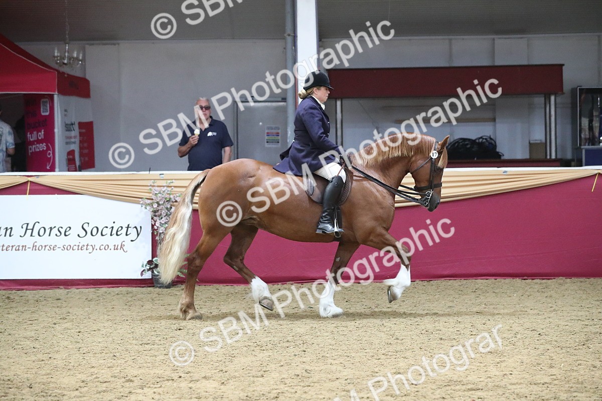 SBM_17188 - M&M Supreme Final Champ