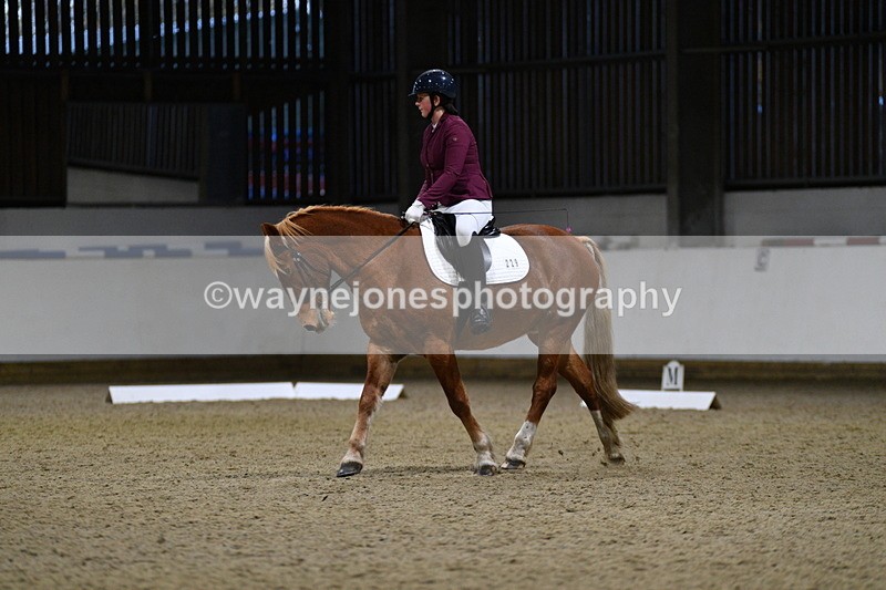 WJ5_8614 - Class 5 Novice Test 3