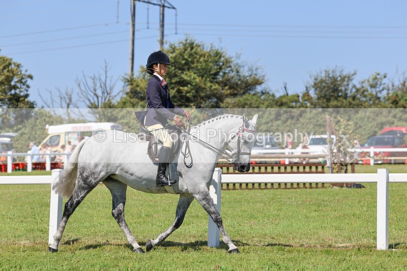 IMG_2126 - Plaited Ridden Championship