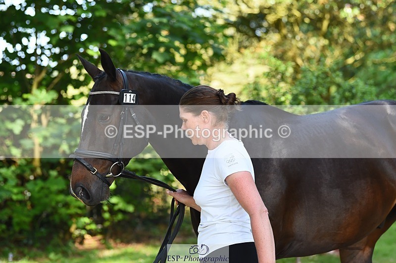230524-164558-01078 - 114-DARK_SIDE_OF_THE_MOON_LS-Bundy_Philpott-WEDTrotUp+DR