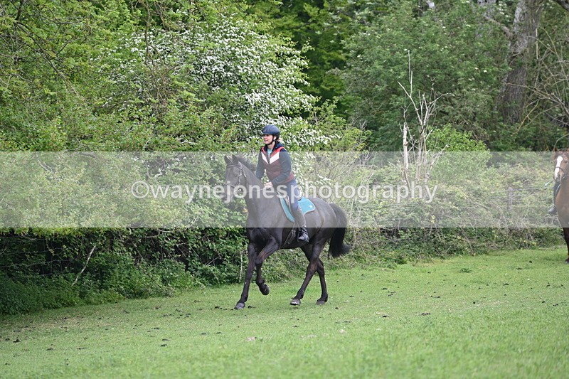 WJ6_2936 - A Camera