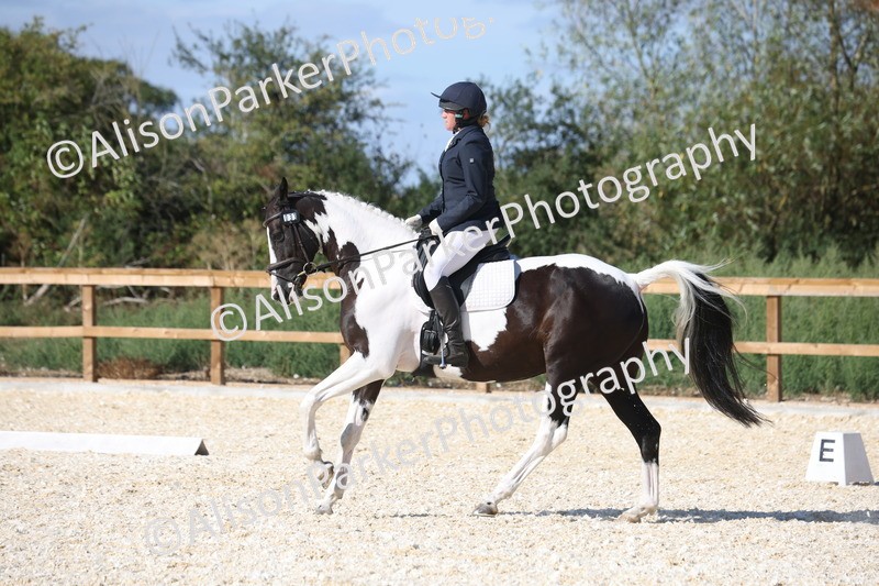 20260905-1582 - Class 5 - Novice 2