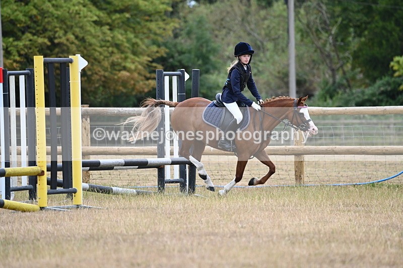 WJ6_0323 - Class 13 Novice Jumping 60cm
