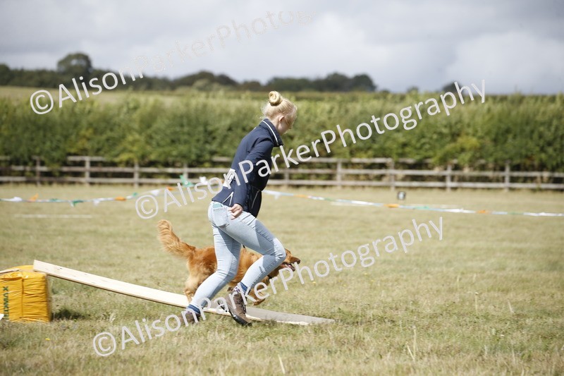 20250831-3887 - Dog Show