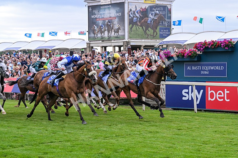 250726-Race 1-Kodiac Thriller-6743 - Race 1 13.30pm Sky Bet 'Jump Jockeys' Nunthorpe' Handicap