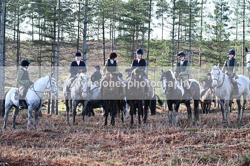 WJ7_7127 - Line 3 (no line 4 or 5)