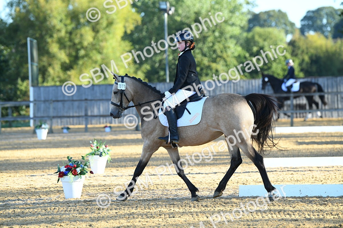 SBM_14310 - D4 - Small Tour Championship - Intro B