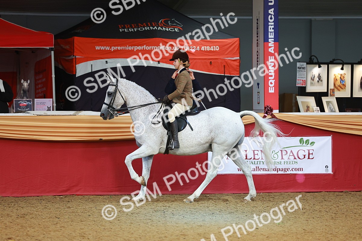SBM_09503 - Class 102 - HOYS Veteran Qualifier - Ridden Veteran