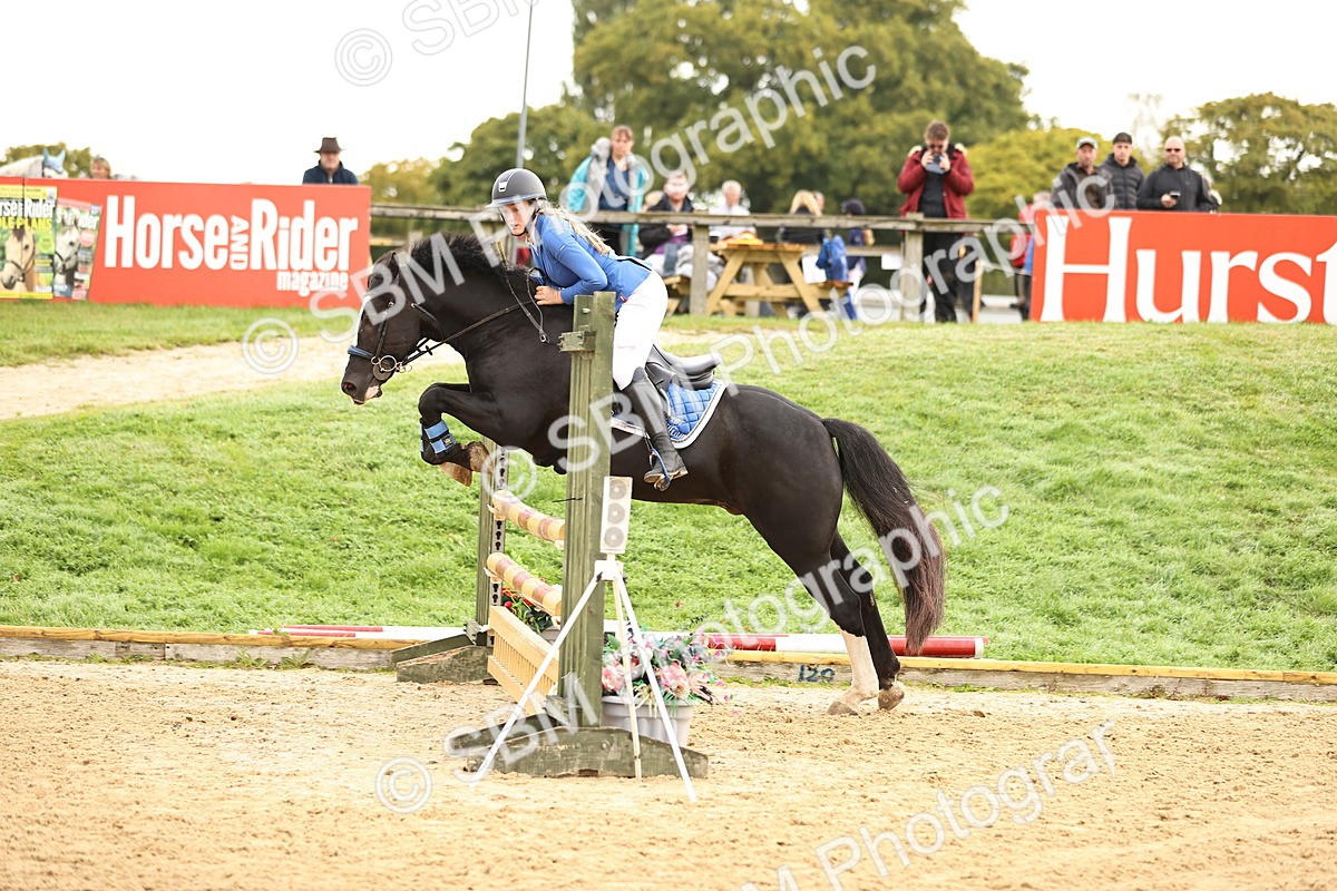 SBM_58262 - J41 - Grand Tour Horse & Pony 95cm