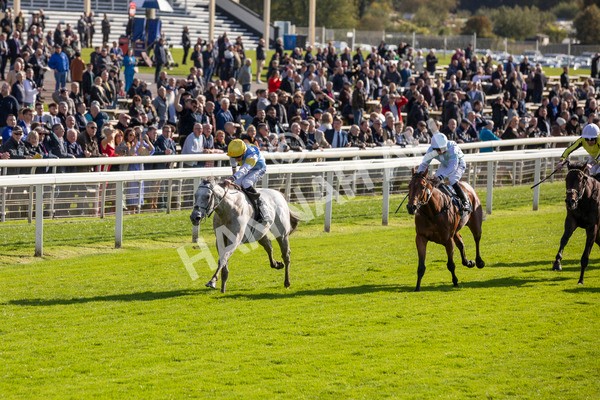 111024-Race 2-Mirabeau-6856 - Race 2 2.05pm British EBF £100,000 Final