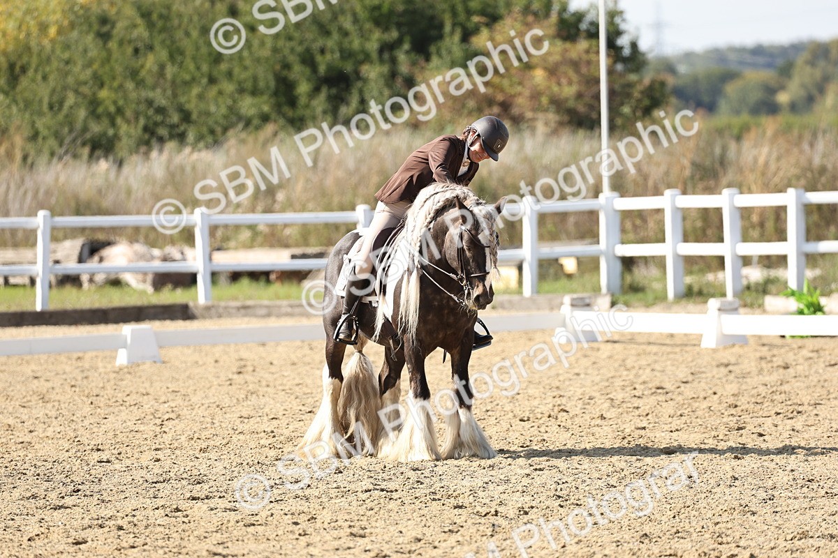 SBM_015289 - Class 9 - Advanced medium 3