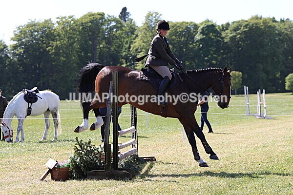 IMG_4453 - Working Hunter
