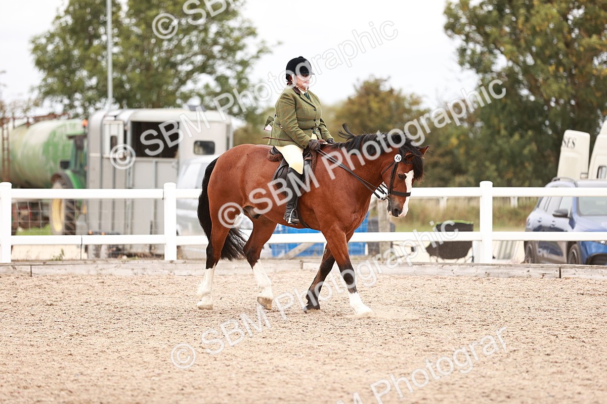 SBM_18951 - Class 422 - Ridden M&M