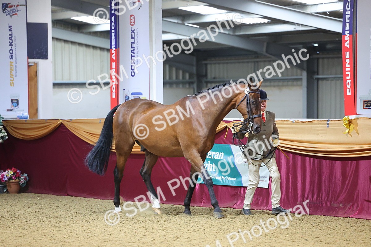 SBM_19413 - Class 901 - Supreme Final - IH Diamond