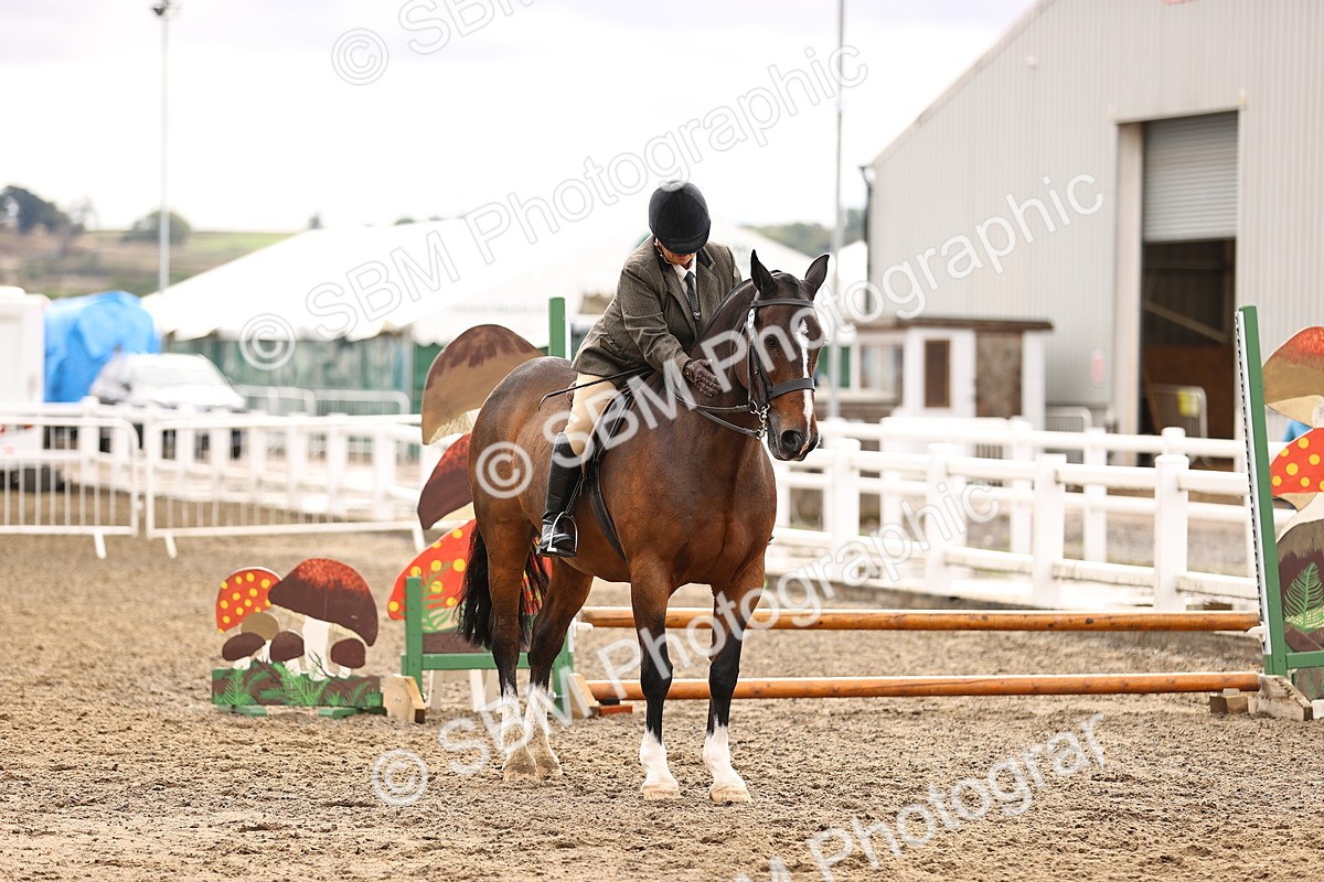 SBM_00335