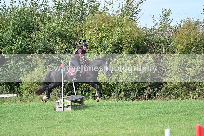 WJ7_8295 - 60cm Pairs