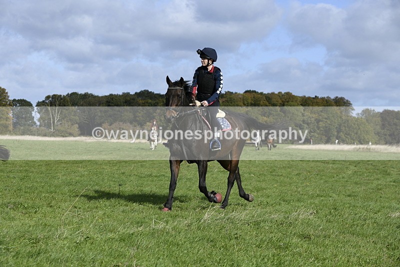 _DSC5874 - Time 10:49 to 11:23