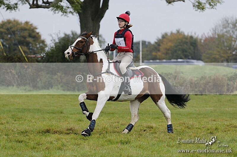 WWHT 181020 WWHT 181020 614 - WWEC Open Novice (0.80m) 18/10/20