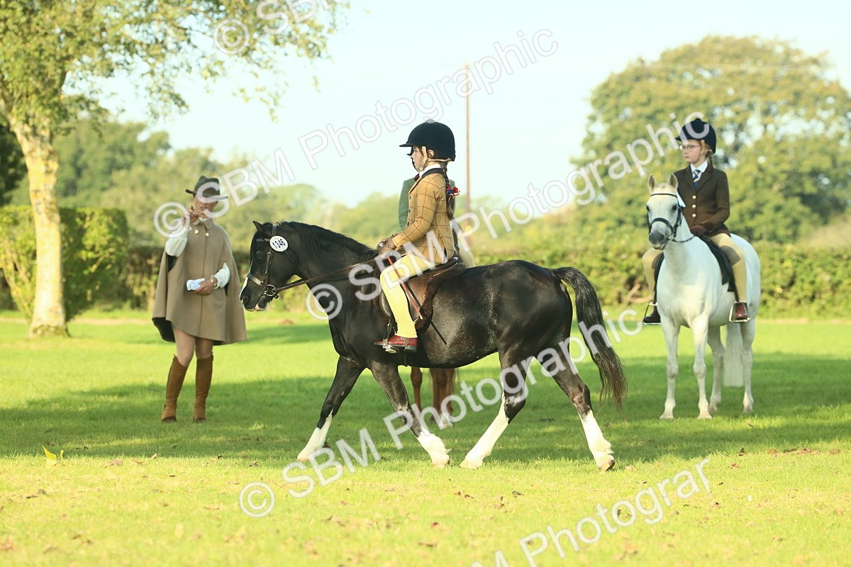 SBM_59188 - S38 - Starters Ridden Showing