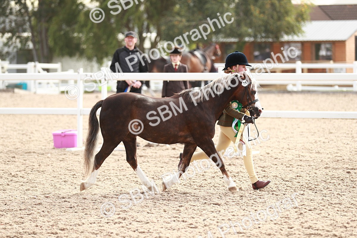 SBM_10639 - Class 204 Young Handler, 11-16 years