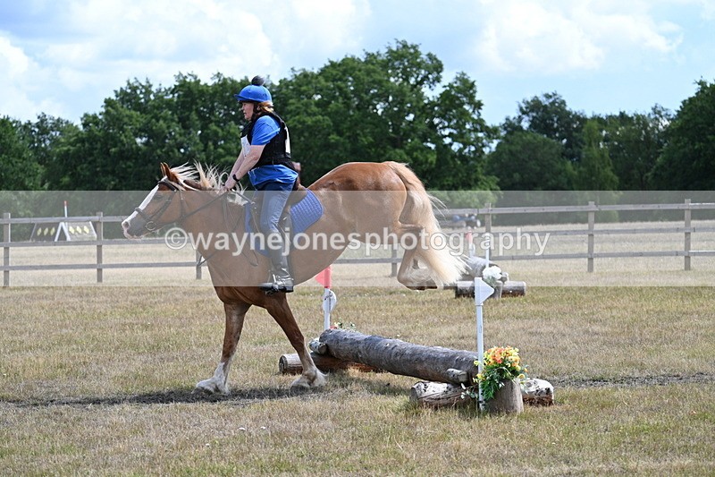 WJ7_0599 - 40cm Time 12:10 to 12:20