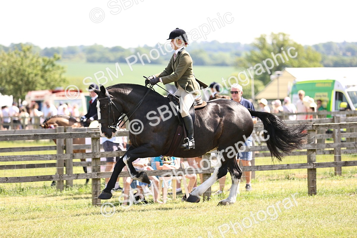 SBM_13789 - Class 77 - LIHS BSHA Rising Star Cobs