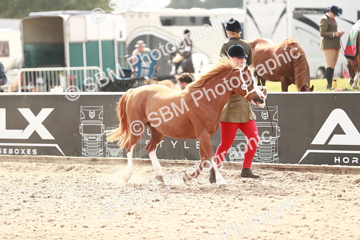 SBM_12414 - Class 207 IH M&M