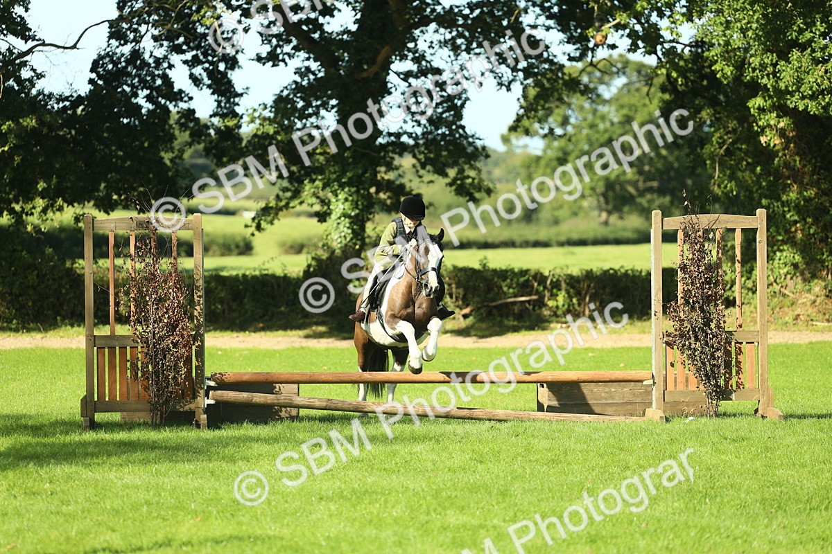 SBM_36524 - S29 - Novice & Newcomers Working Hunter Pony