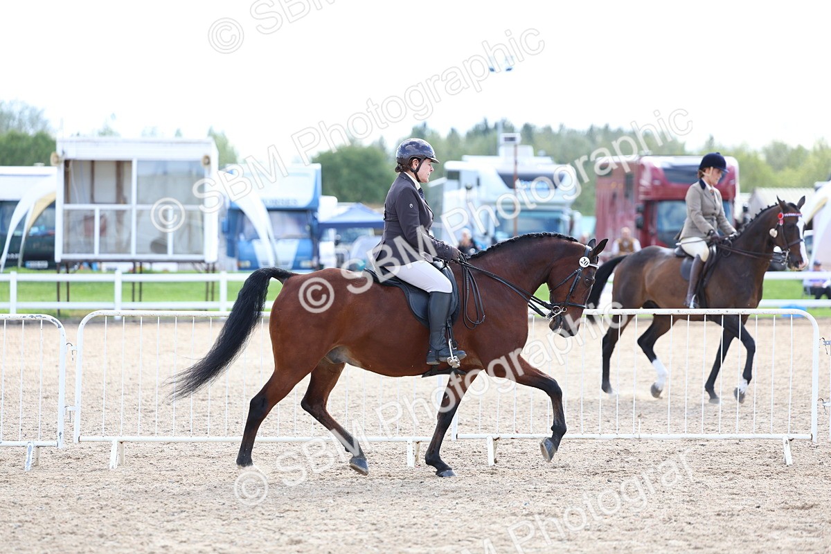 SBM_17099 - Class 315 - Best Horse - Rider Combination
