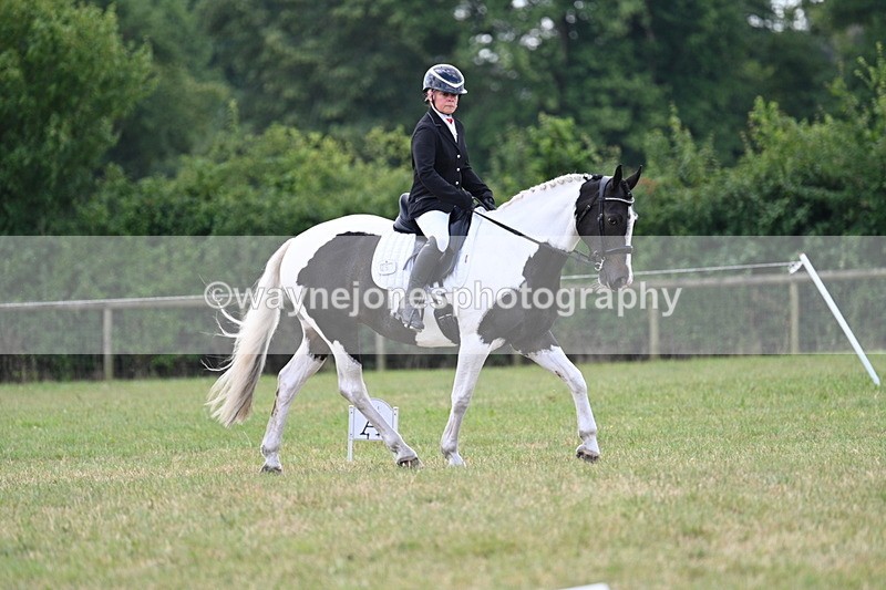 WJ7_5229 - Time 11:22 to 11:51