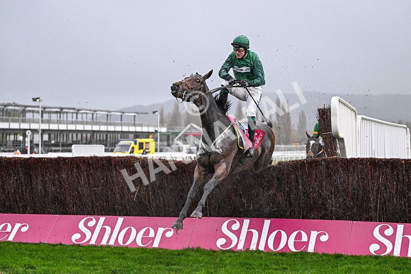 141125-Race 4-Matata-0435 - Race 4