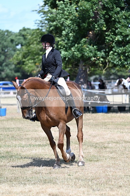 WJ7_3631 - Class 8 Ridden Veterans