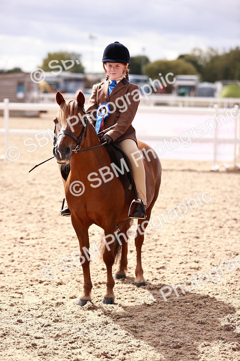 SBM_14404 - Class 409 - Grassroots Ridden - Pony