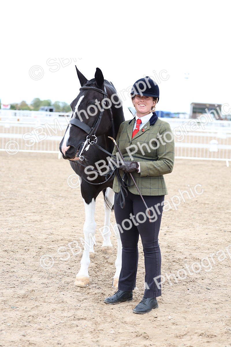 SBM_05074 - Class 27 - IH Competition Horse or Pony