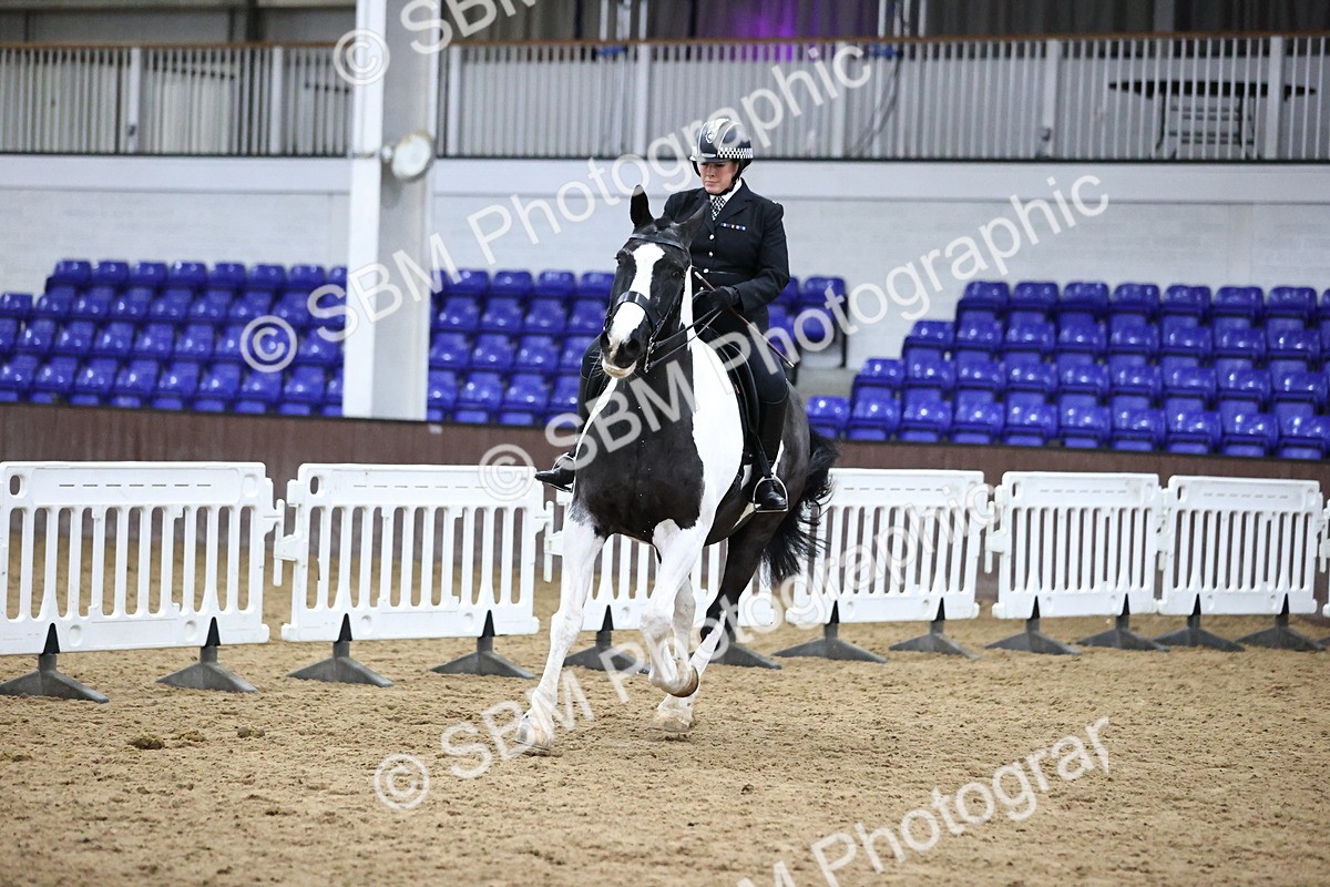 SBM_6371 - Class 45-42 - Ridden Irish Breeds-Ridden Cob